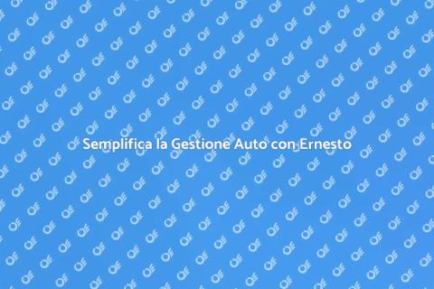 Gestione Pratiche Auto Semplificata