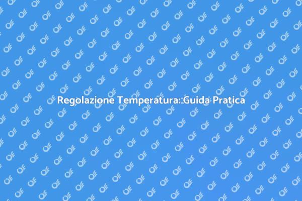 Termostato per la Tua Casa: Ecco Come