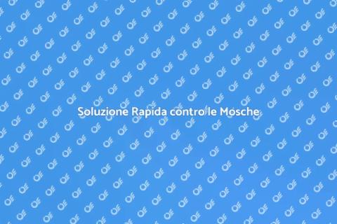 Disinfestazione Mosche Efficace