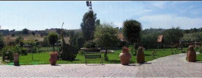 L'Artigiano del Giardino  - Foto 2