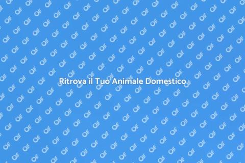 Servizio Ricerca Animali Domestici