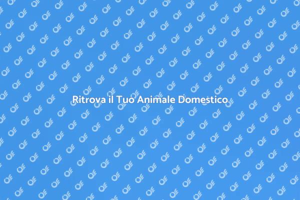 Aiuto per Animali Domestici Smarriti