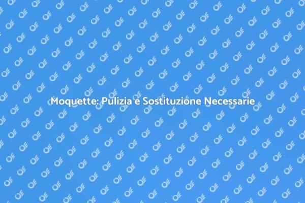 Rinnova la Tua Moquette Oggi Stesso!