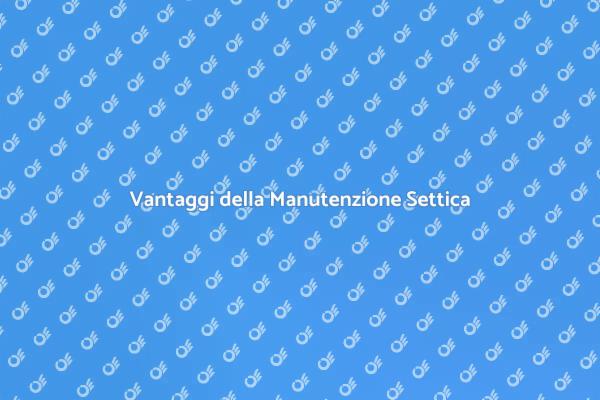 Manutenzione: Il Segreto del Sistema Settico