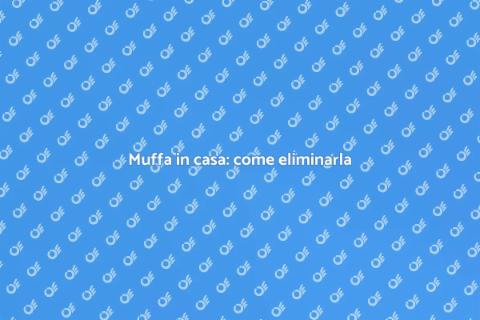 Combattere la muffa in casa