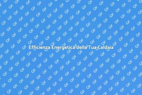 Controllo Efficienza Energetica Caldaia