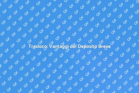 Deposito Breve Termine Trasloco