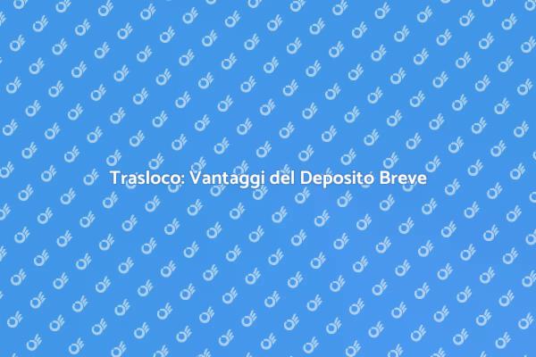 Deposito Sicuro per il Tuo Trasloco