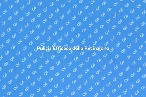 Lavare a Pressione la Recinzione