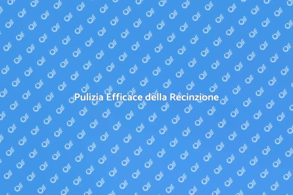 Pulizia della Recinzione a Pressione