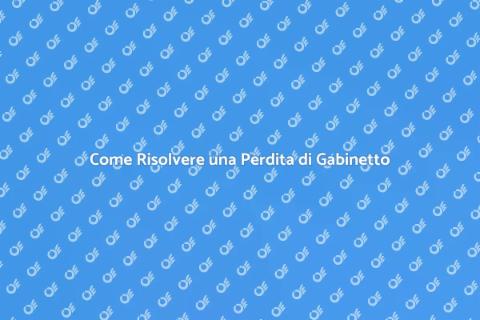 Riparare Perdita di Gabinetto Facile