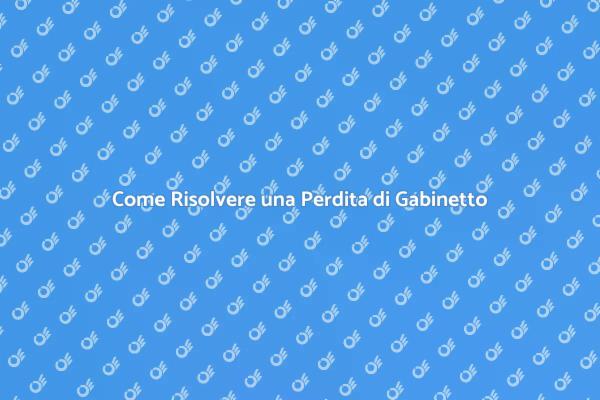 Guida alla Riparazione di un Gabinetto