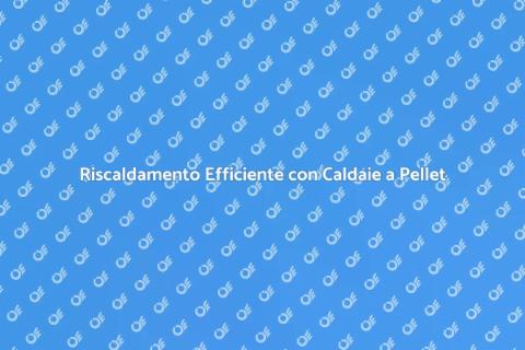 Caldaie a Pellet: Riscaldamento Sostenibile