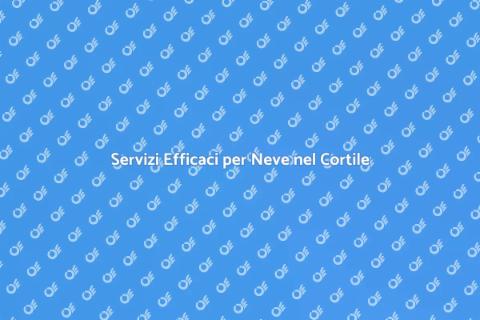 Rimozione Neve dal Cortile Professionale
