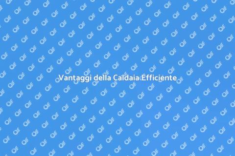 Caldaia Alta Efficienza Energetica