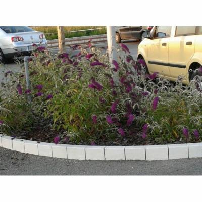 Il Giardino  - Foto 5