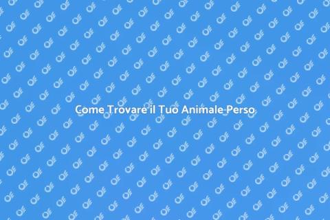 Esperto per Ritrovare Animali Persi