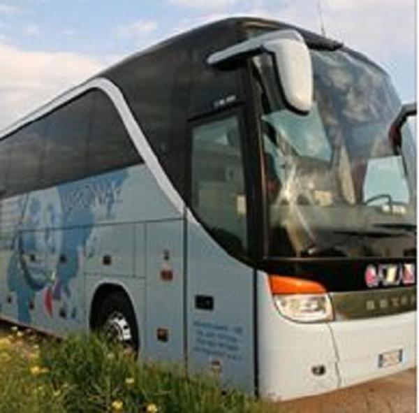 Gazzani Autoservizi  - Foto 2