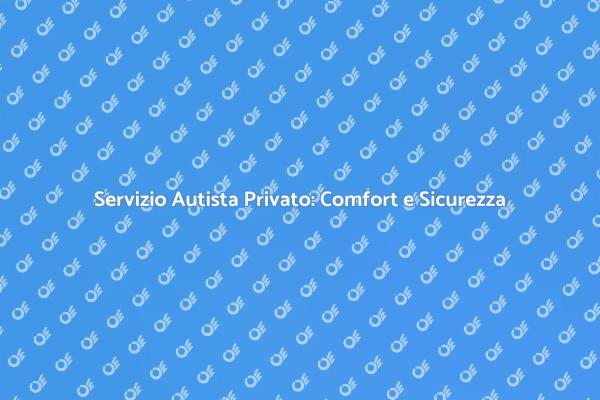 L'Arte di Viaggiare con un Autista Privato