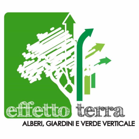 Effetto Terra di Airoldi Raffaele - Foto 1