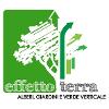 Effetto Terra di Airoldi Raffaele