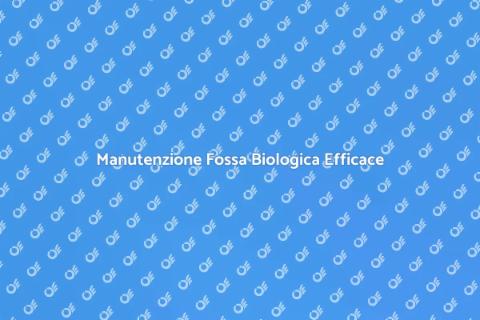 Spurgo Fossa Biologica: Servizio Efficace