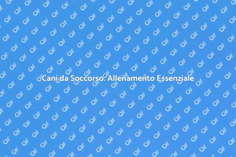 Allenamento Cani da Soccorso Ambientale