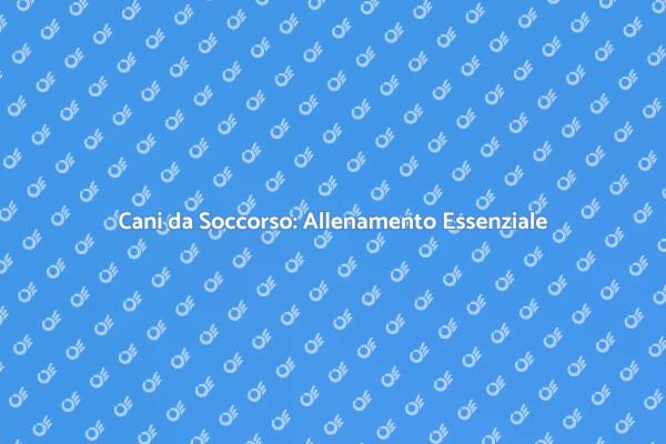 Cani da Soccorso: Un Ruolo Cruciale