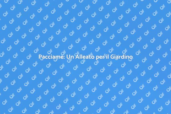 Pacciame: Il Tuo Giardino Merita