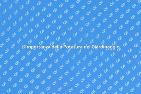 Potatura Accurata per il Tuo Giardino