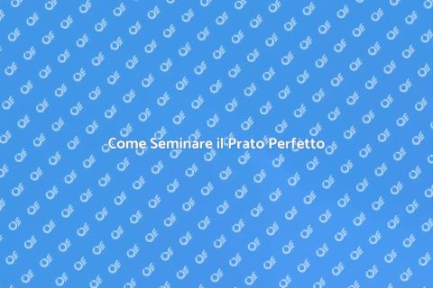 Seminare il Prato: Guida Completa