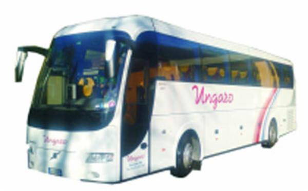 Autoservizi Ungaro  - Foto 1
