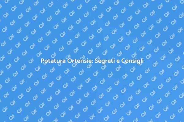Potatura Ortensie: Il Tuo Giardino Fiorito