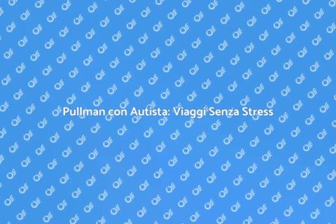 Noleggia Pullman con Autista Facile