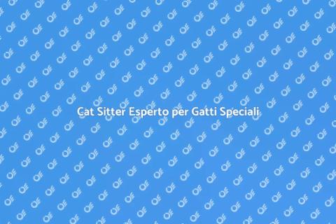 Cat Sitter Esperto per Gatti Malati
