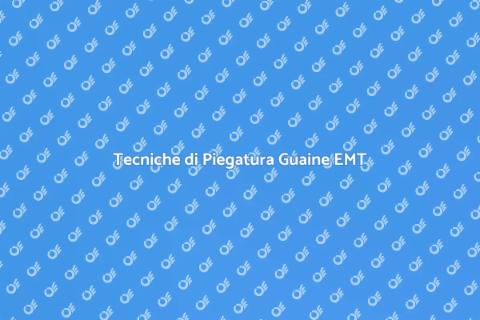 Piegare Guaine Metalliche EMT Facile