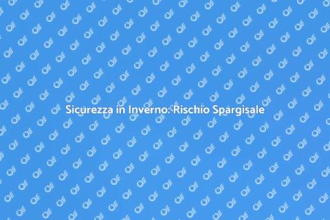Gestione del Rischio Spargisale