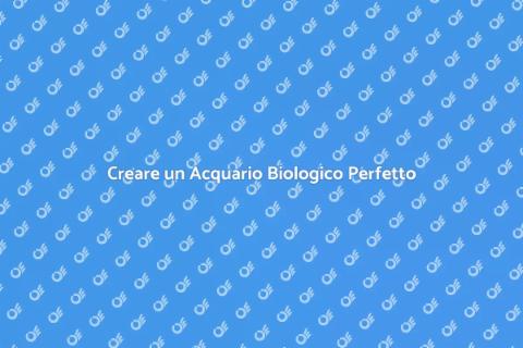 Allestimento Acquari Biologici