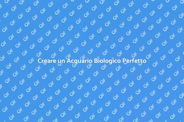 Allestimento di Acquari Sostenibili