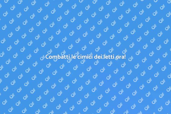 Liberati dalle cimici dei letti subito!