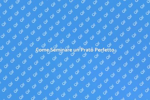 Seminare il Prato: Guida Pratica