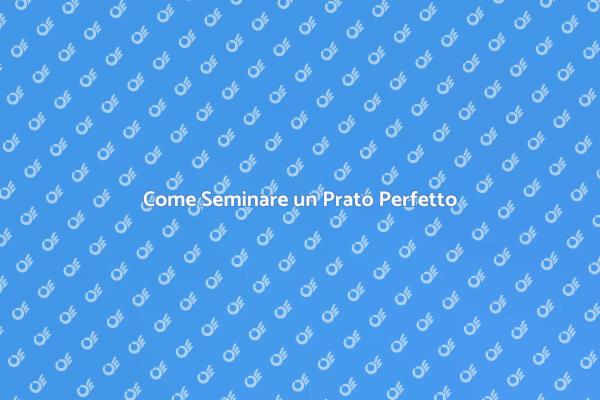 Prato Verde: Guida alla Semina