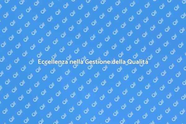 Guida all'Implementazione della Qualità