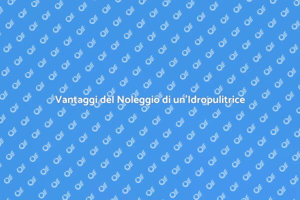 Noleggia un'Idropulitrice e Risparmia