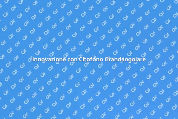 Evoluzione del Citofono con Telecamera