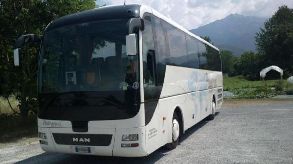 Pellegrino Noleggio Bus  - Foto 6