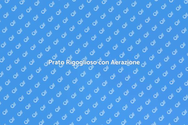 Aerazione: Il Segreto per un Prato Perfetto