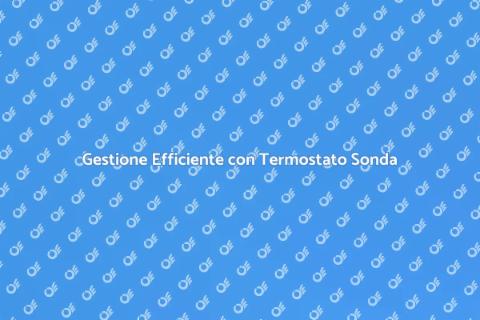 Termostato con Sonda: Comfort Domestico