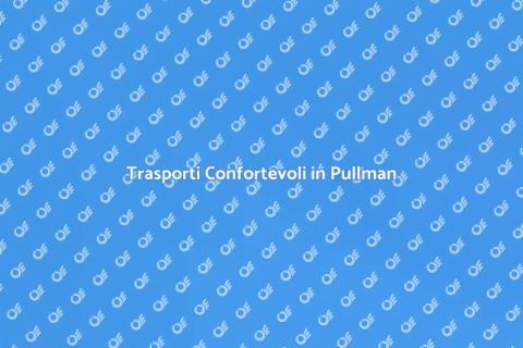 Noleggia un Pullman con Autista