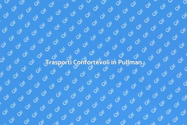 Viaggia in Comfort con un Pullman